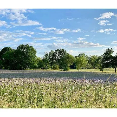 Schloss Comfortable * Badow